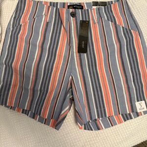 Lee Multi-Directional Striped Shorts in Gray and Coral